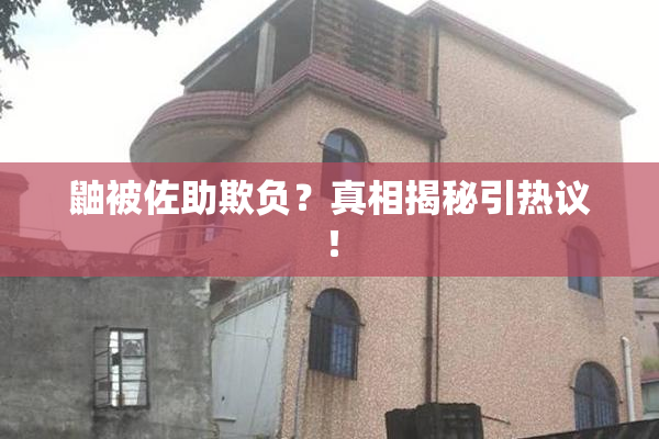 鼬被佐助欺负？真相揭秘引热议！