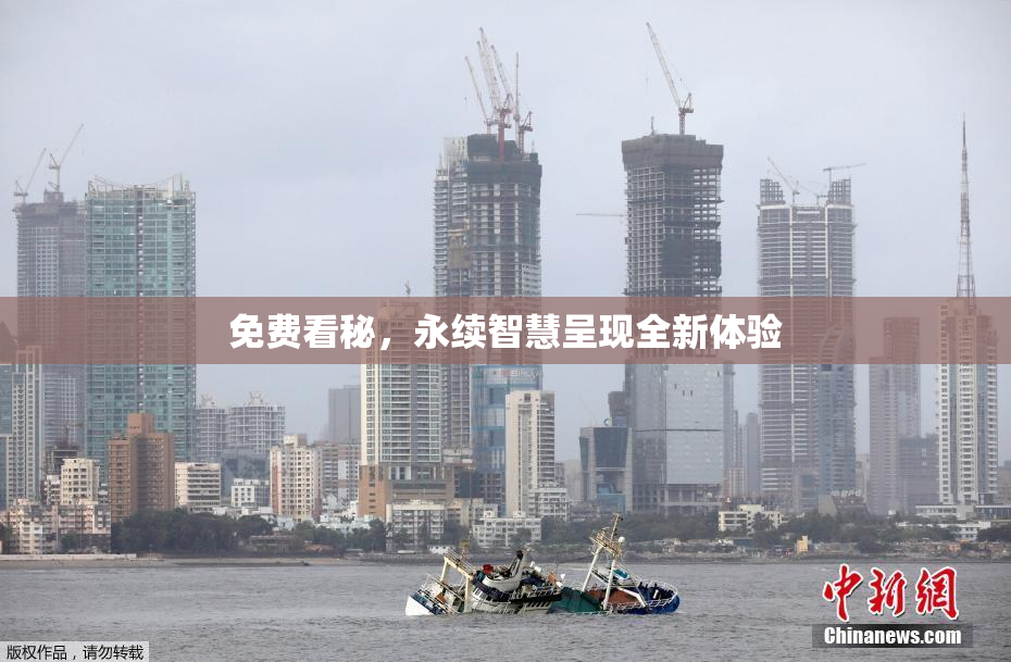 免费看秘，永续智慧呈现全新体验
