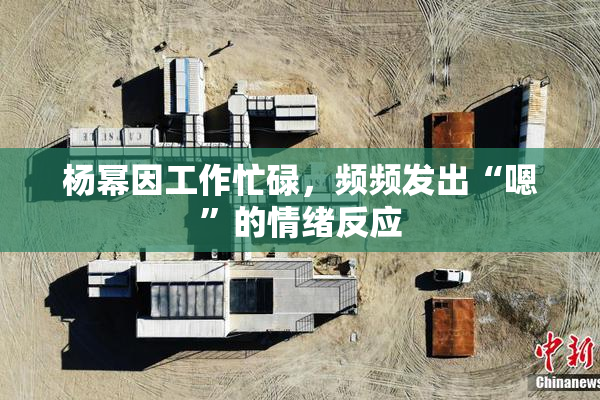 杨幂因工作忙碌，频频发出“嗯”的情绪反应