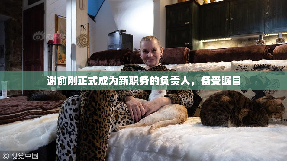 谢俞刚正式成为新职务的负责人，备受瞩目