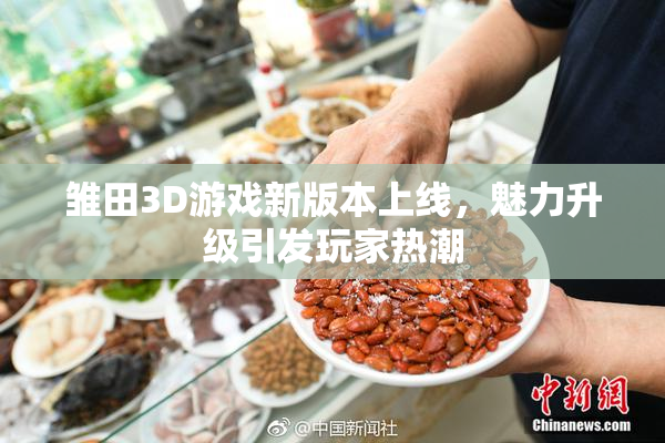 雏田3D游戏新版本上线，魅力升级引发玩家热潮