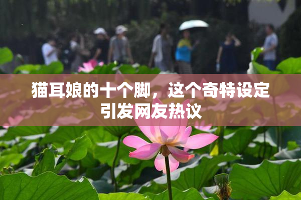 猫耳娘的十个脚，这个奇特设定引发网友热议