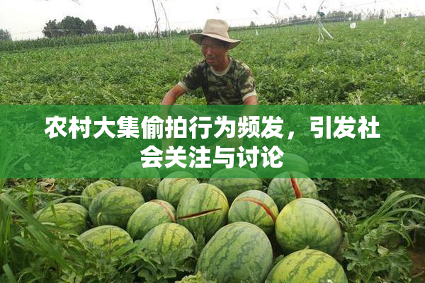 农村大集偷拍行为频发，引发社会关注与讨论