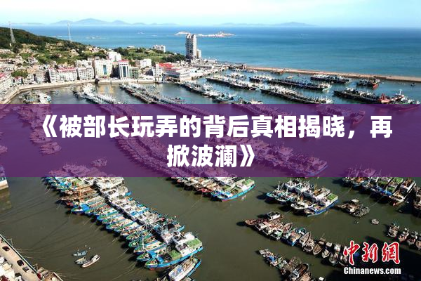 《被部长玩弄的背后真相揭晓，再掀波澜》