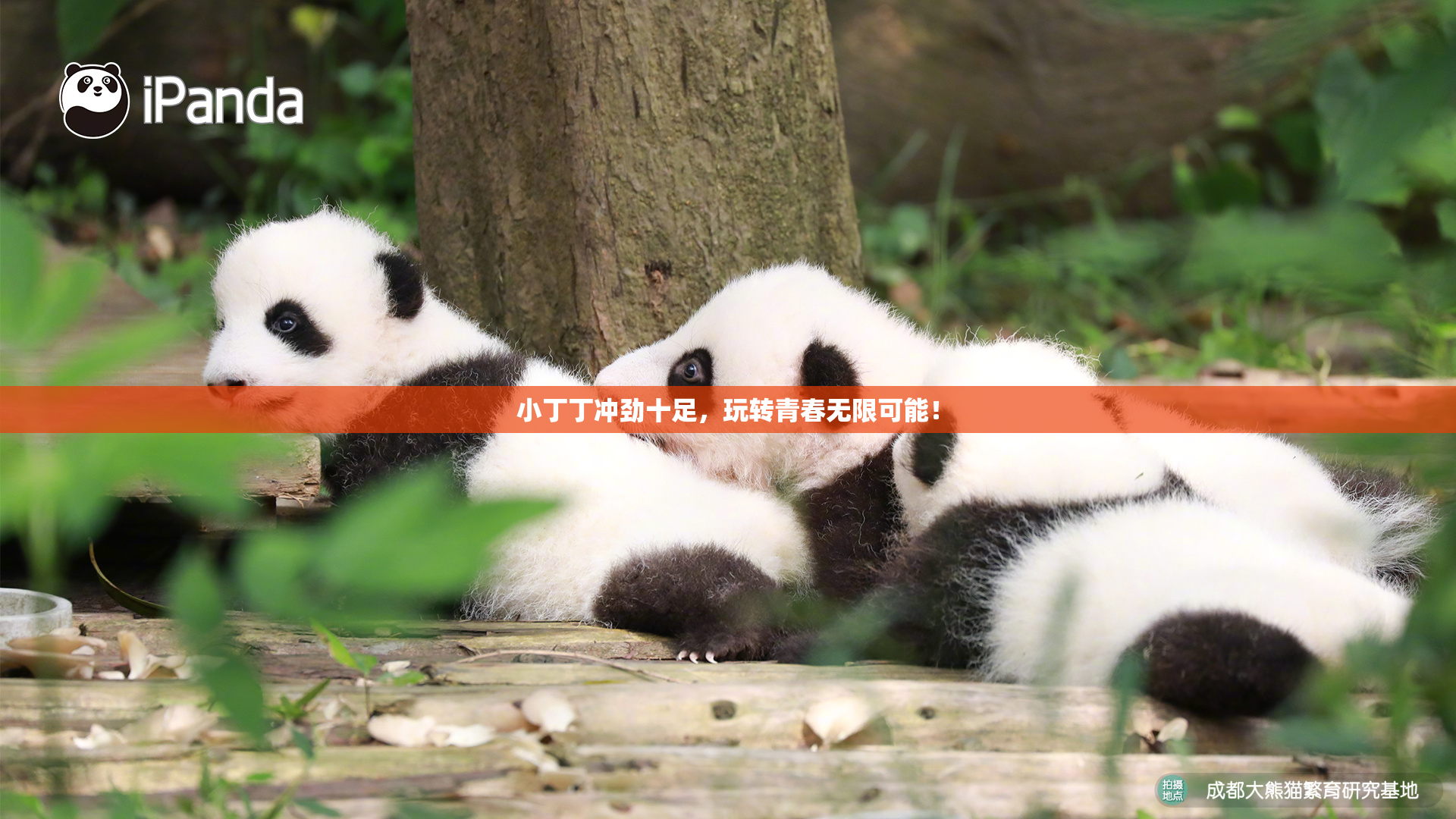 小丁丁冲劲十足，玩转青春无限可能！
