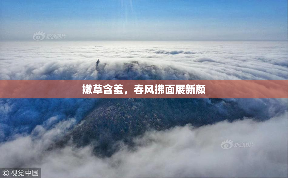 嫩草含羞，春风拂面展新颜