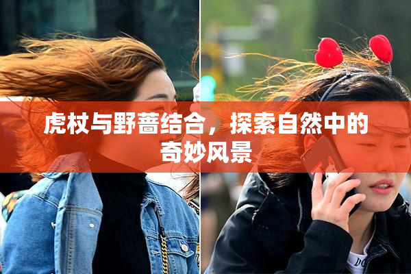 虎杖与野蔷结合，探索自然中的奇妙风景