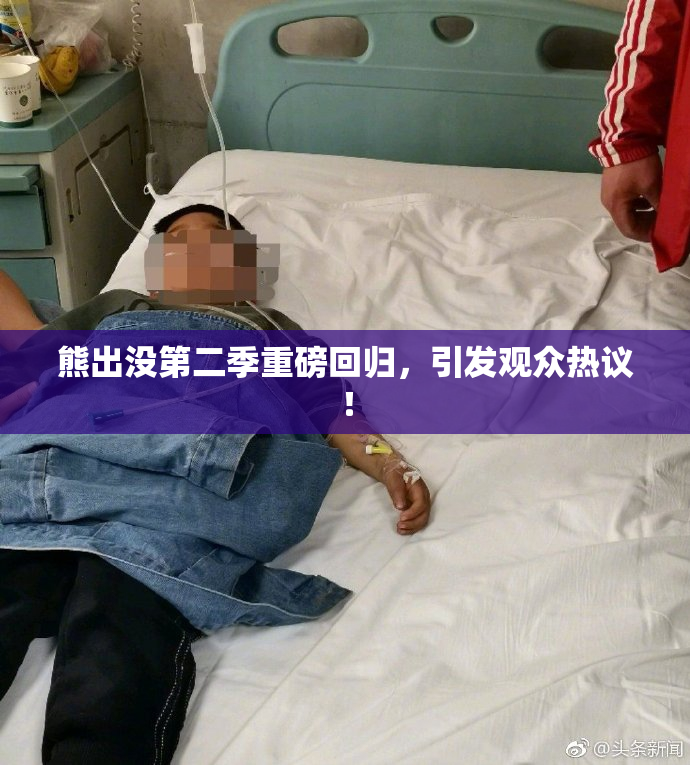 熊出没第二季重磅回归，引发观众热议！