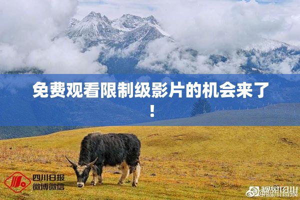 免费观看限制级影片的机会来了！