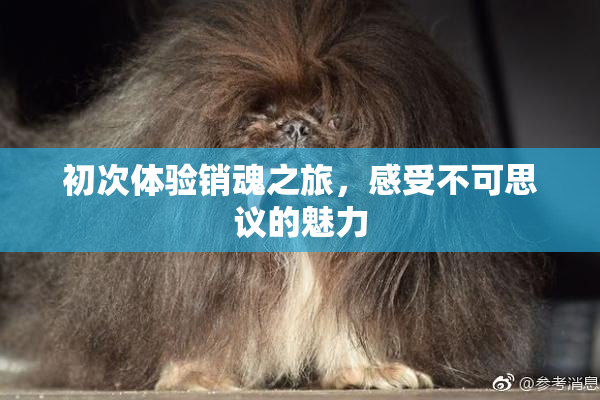 初次体验销魂之旅，感受不可思议的魅力