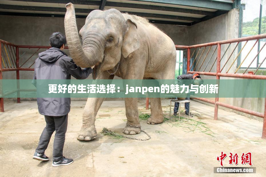 更好的生活选择：janpen的魅力与创新