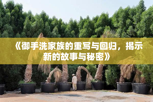 《御手洗家族的重写与回归，揭示新的故事与秘密》