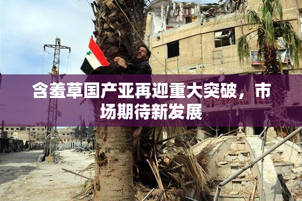 含羞草国产亚再迎重大突破，市场期待新发展