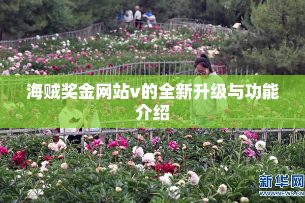 海贼奖金网站v的全新升级与功能介绍
