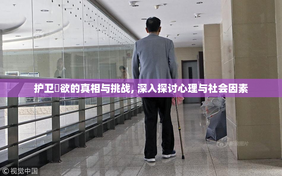 护卫婬欲的真相与挑战, 深入探讨心理与社会因素