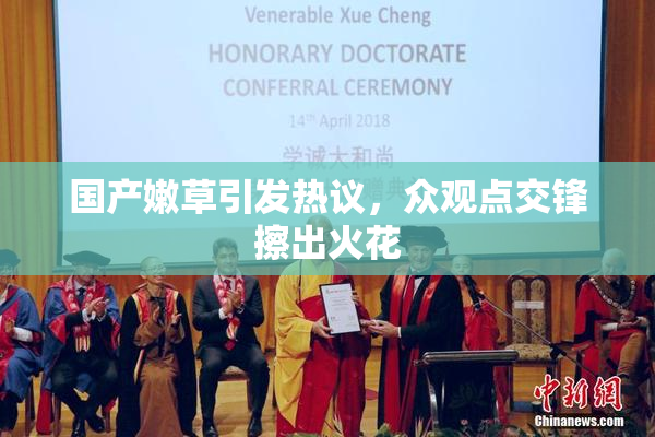国产嫩草引发热议，众观点交锋擦出火花