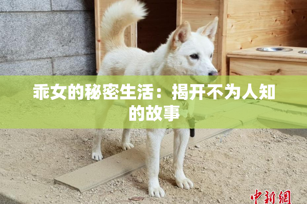 乖女的秘密生活：揭开不为人知的故事
