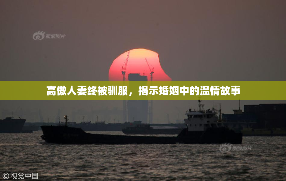 高傲人妻终被驯服，揭示婚姻中的温情故事
