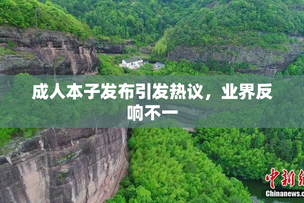 成人本子发布引发热议，业界反响不一