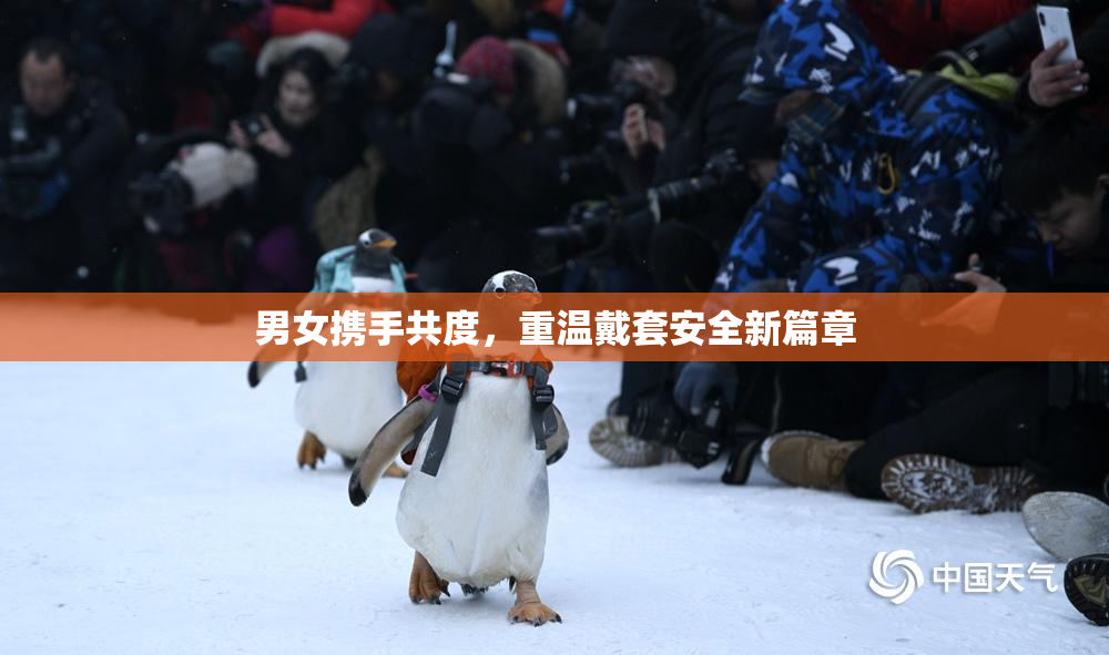 男女携手共度，重温戴套安全新篇章