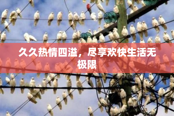 久久热情四溢，尽享欢快生活无极限