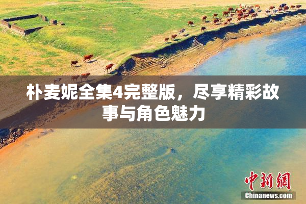 朴麦妮全集4完整版，尽享精彩故事与角色魅力