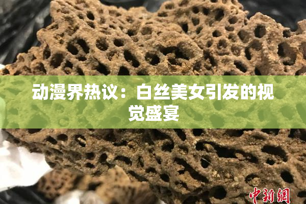 动漫界热议：白丝美女引发的视觉盛宴