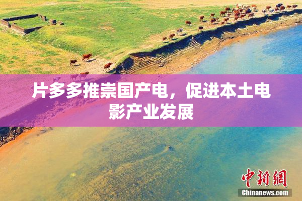 片多多推崇国产电，促进本土电影产业发展