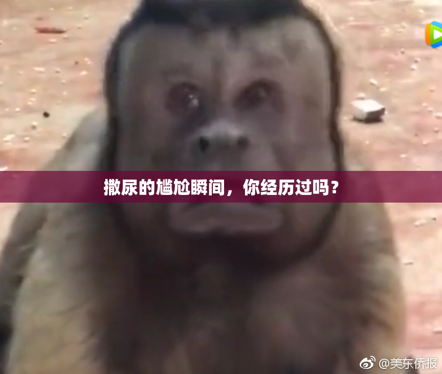 撒尿的尴尬瞬间，你经历过吗？