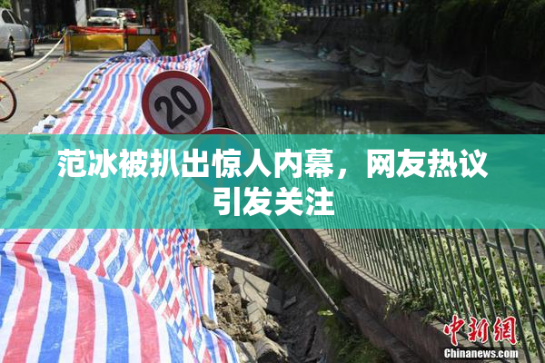 范冰被扒出惊人内幕，网友热议引发关注