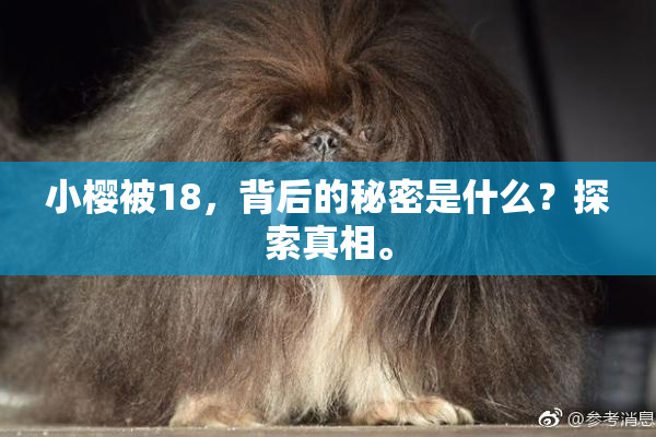 小樱被18，背后的秘密是什么？探索真相。