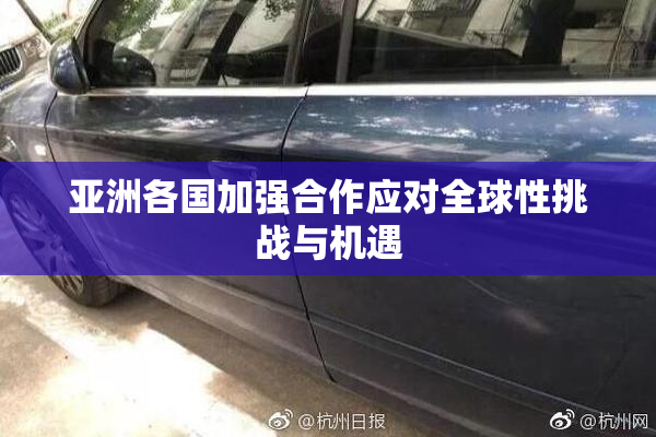 亚洲各国加强合作应对全球性挑战与机遇