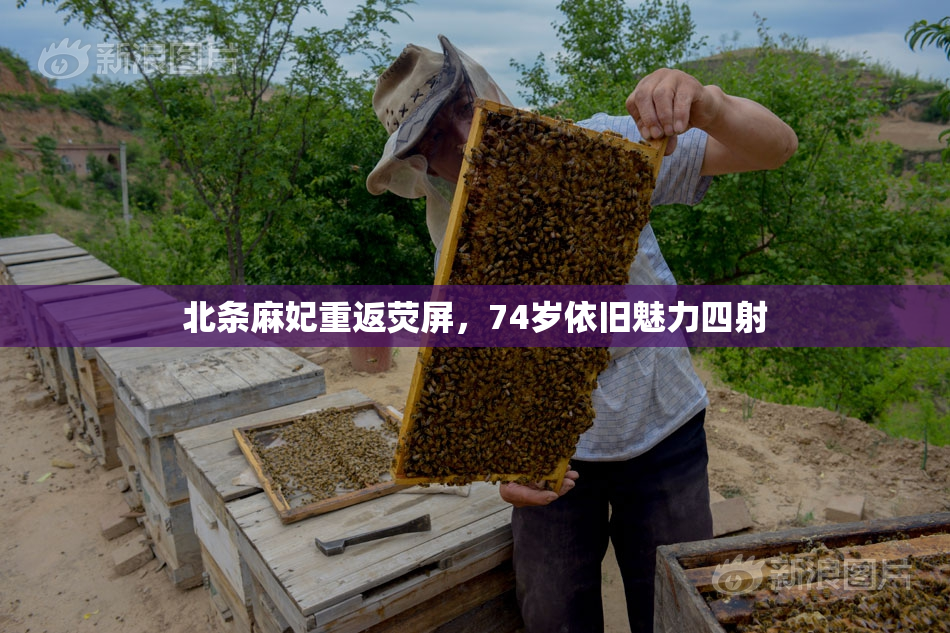 北条麻妃重返荧屏，74岁依旧魅力四射