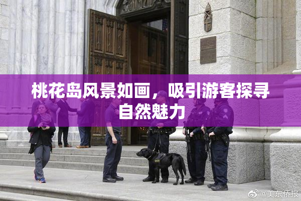 桃花岛风景如画，吸引游客探寻自然魅力