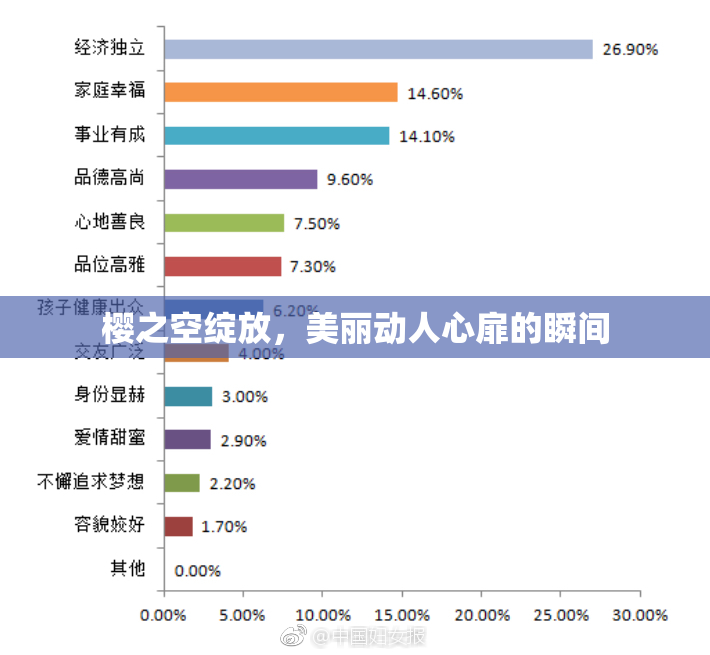 樱之空绽放，美丽动人心扉的瞬间