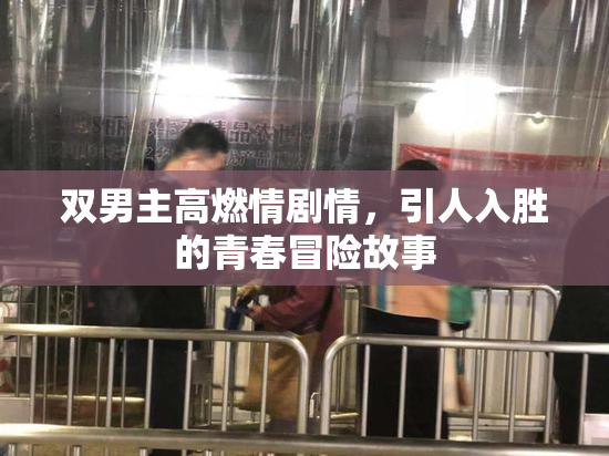 双男主高燃情剧情，引人入胜的青春冒险故事