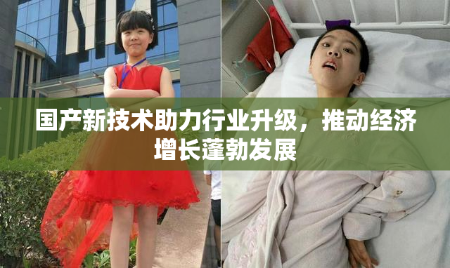 国产新技术助力行业升级，推动经济增长蓬勃发展