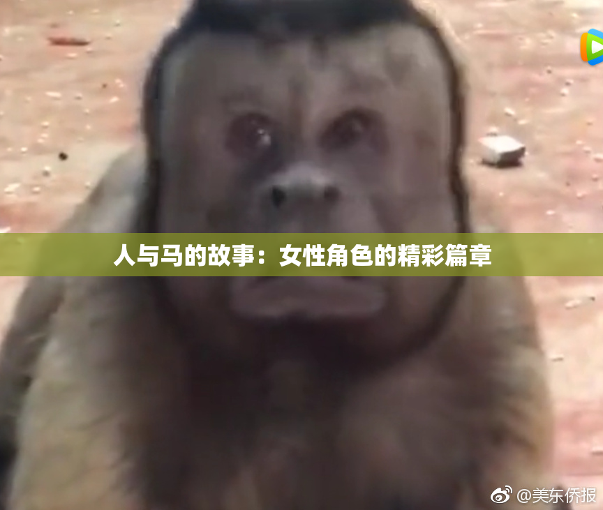 人与马的故事：女性角色的精彩篇章