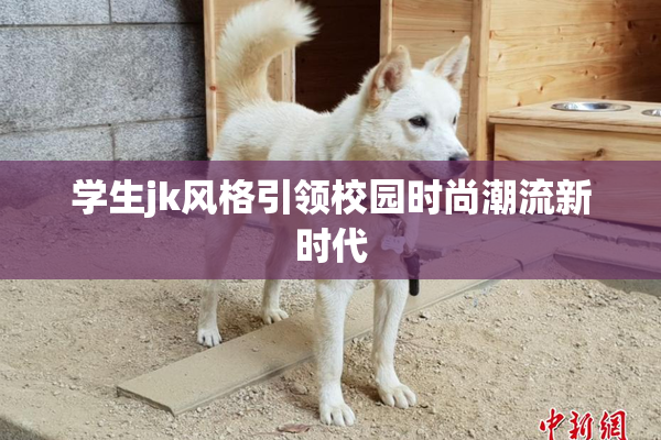 学生jk风格引领校园时尚潮流新时代
