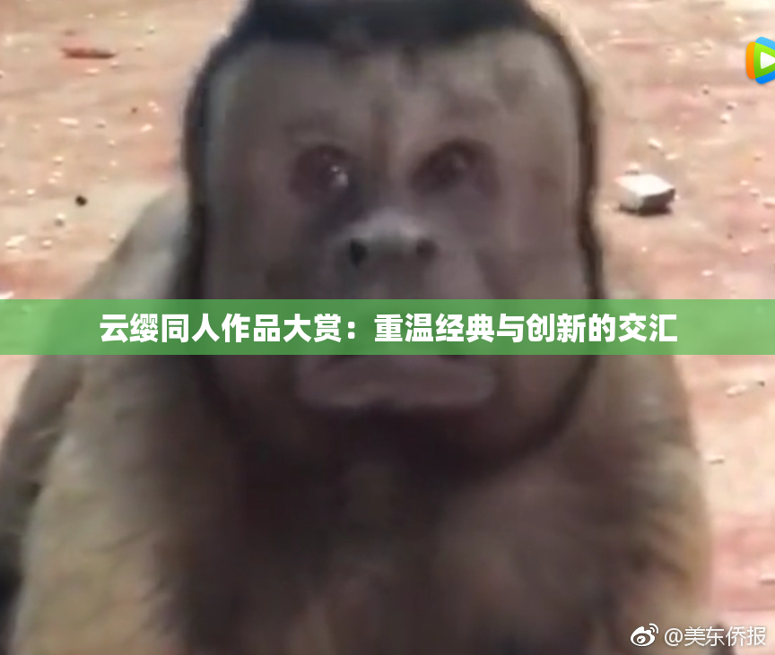 云缨同人作品大赏：重温经典与创新的交汇