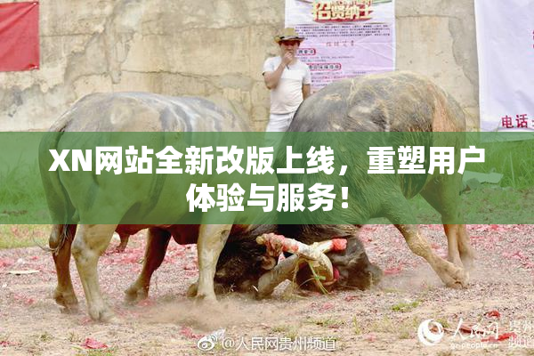 XN网站全新改版上线，重塑用户体验与服务！