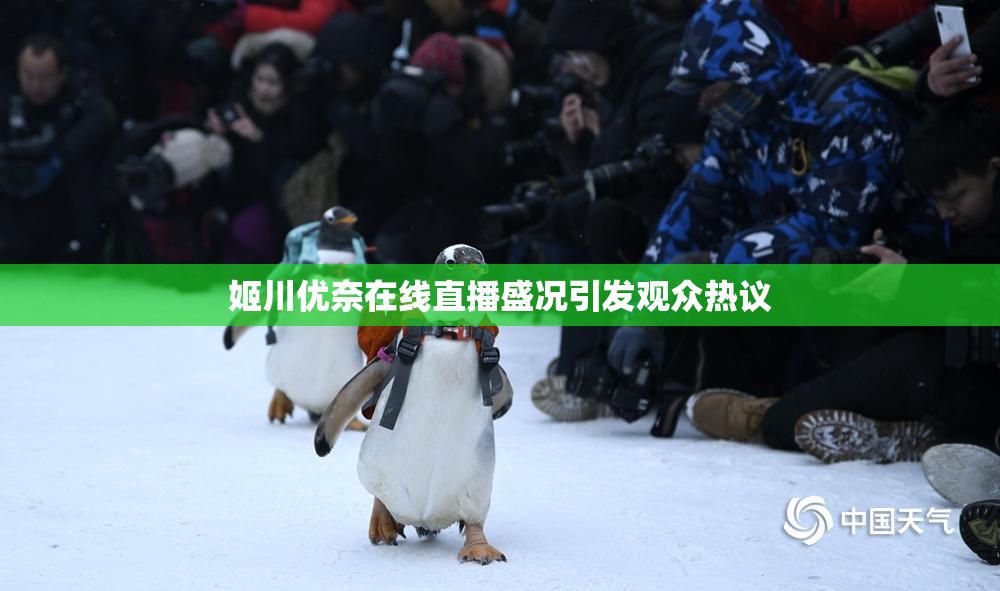 姬川优奈在线直播盛况引发观众热议