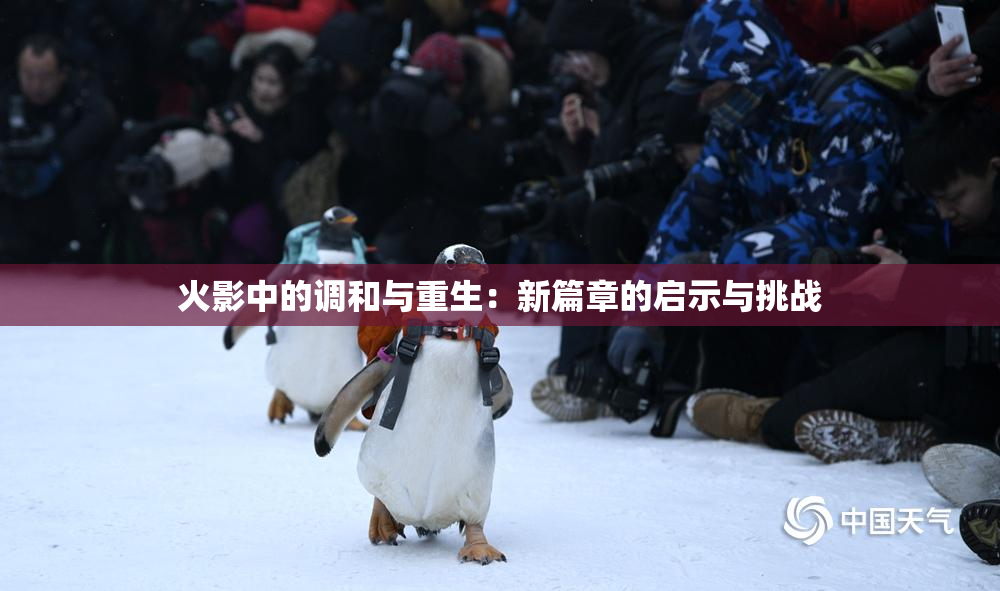 火影中的调和与重生：新篇章的启示与挑战