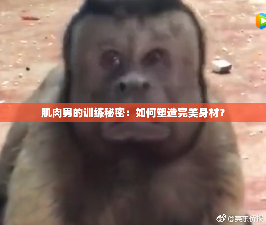肌肉男的训练秘密：如何塑造完美身材？