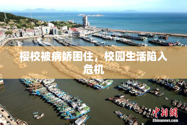 樱校被病娇困住，校园生活陷入危机