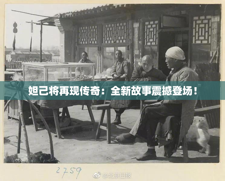 妲己将再现传奇：全新故事震撼登场！