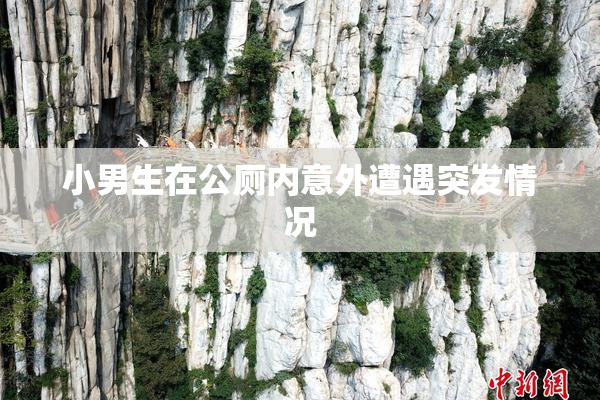 小男生在公厕内意外遭遇突发情况