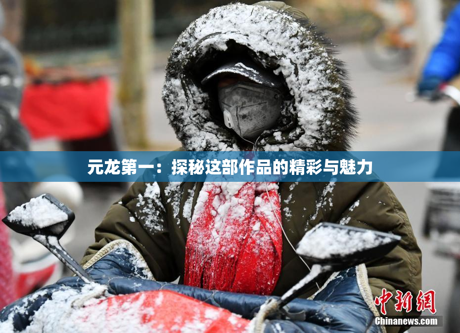 元龙第一：探秘这部作品的精彩与魅力