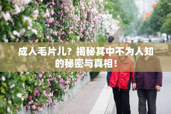 成人毛片儿？揭秘其中不为人知的秘密与真相！
