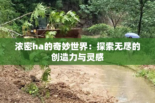 浓密ha的奇妙世界：探索无尽的创造力与灵感